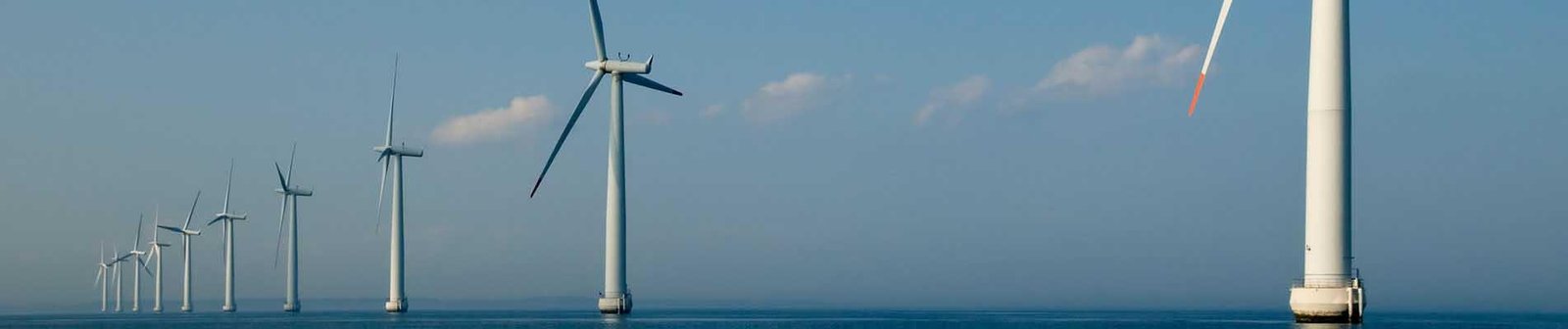 Surface protective coatings for bio-energy components