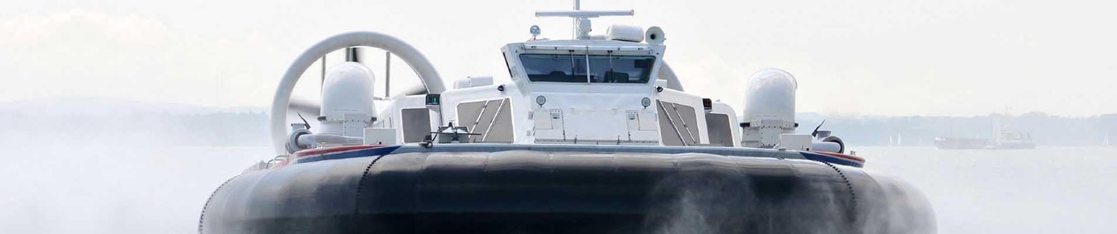 Anti-fouling coatings for leisure boats